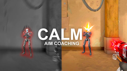 Calm Aim Coaching